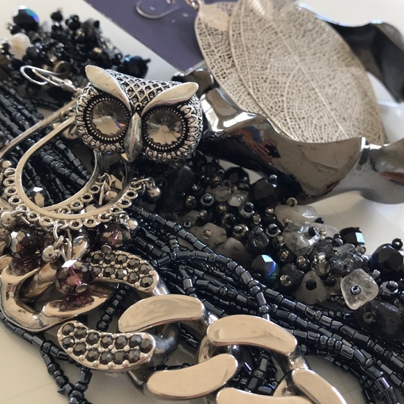 Express Jewelry - Wise owl jewelry bundle